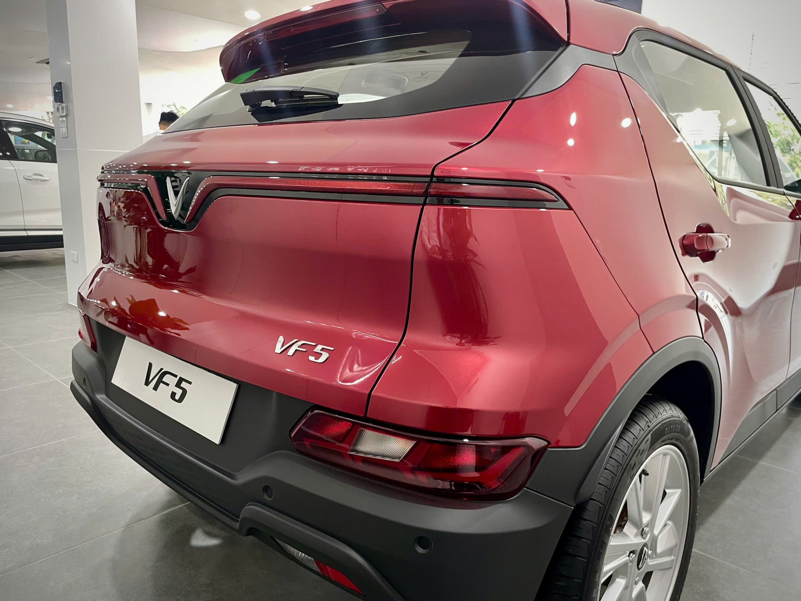 VF5 (5)