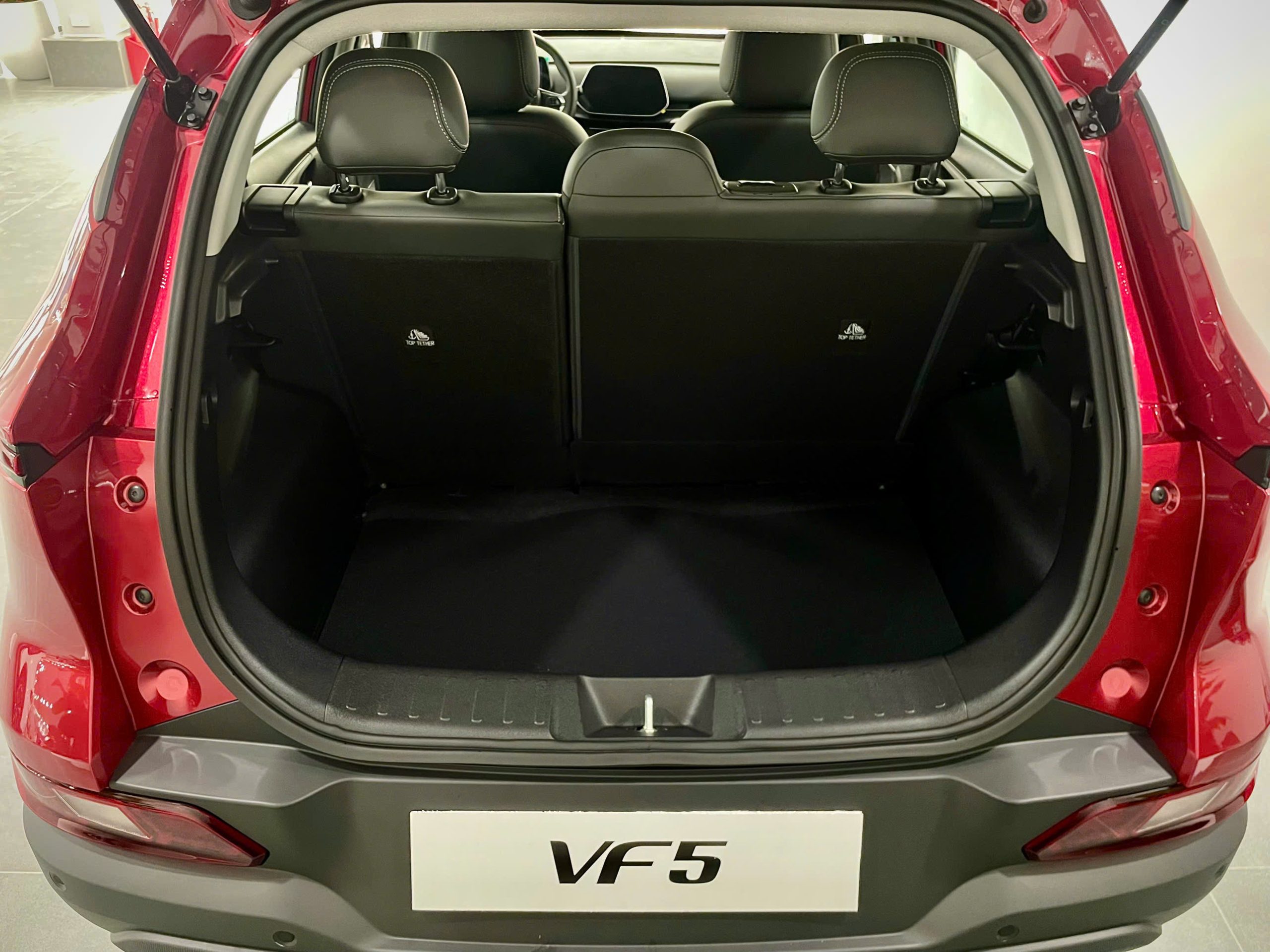 VF5 (9)