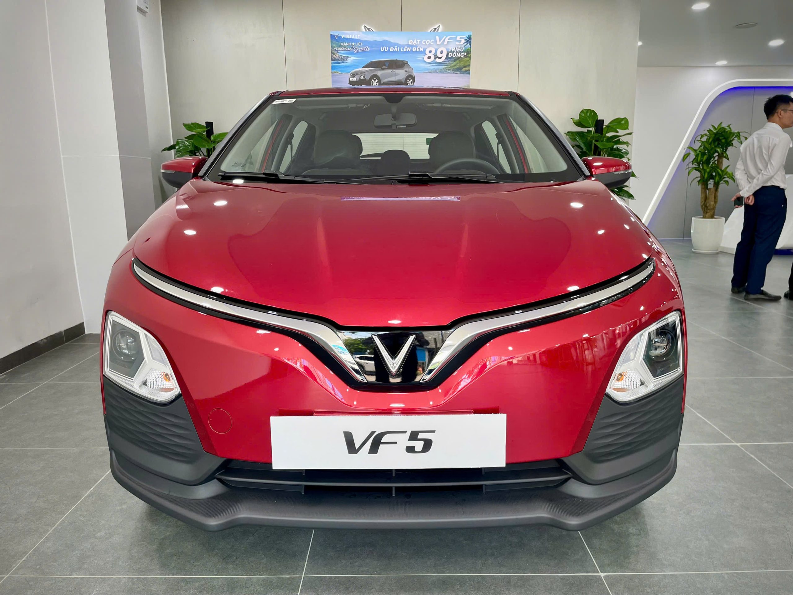 VF5 (3)